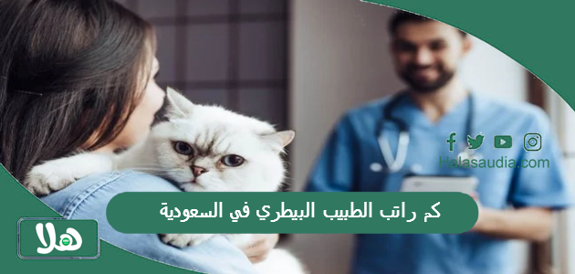 كم راتب الطبيب البيطري في السعودية