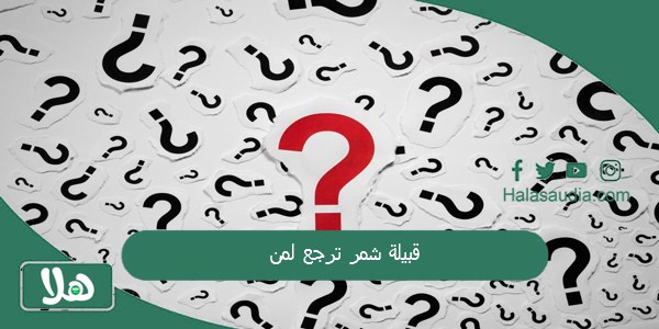 قبيلة شمر ترجع لمن