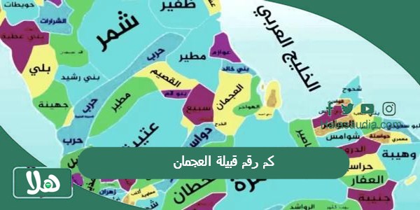 كم رقم قبيلة العجمان