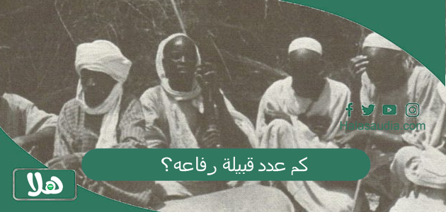 كم عدد قبيلة رفاعه؟