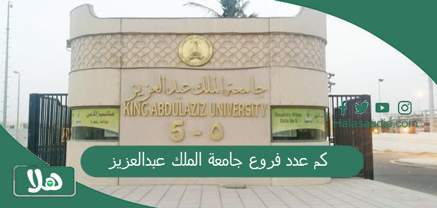 كم عدد فروع جامعة الملك عبدالعزيز