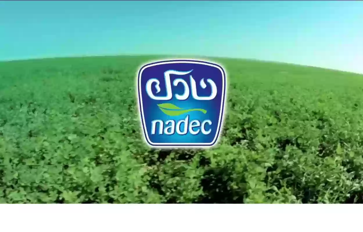 كم رواتب شركة نادك؟