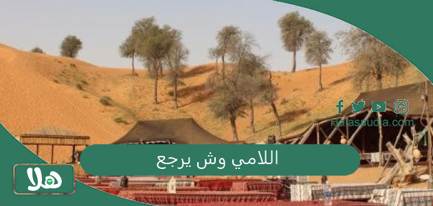 اللامي وش يرجع