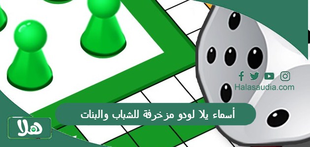 أسماء يلا لودو مزخرفة للشباب والبنات