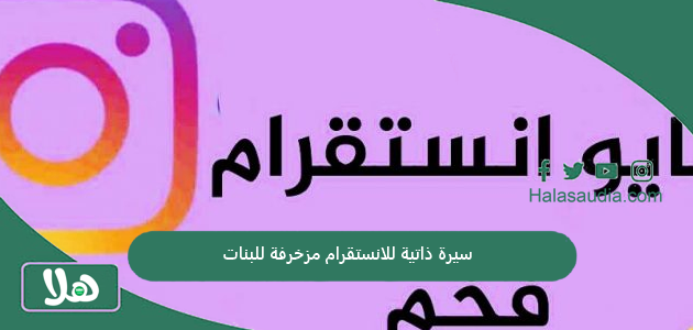 سيرة ذاتية للانستقرام مزخرفة للبنات