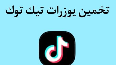 يوزرات تيك توك فخمة