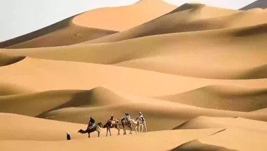 العطوي وش يرجع