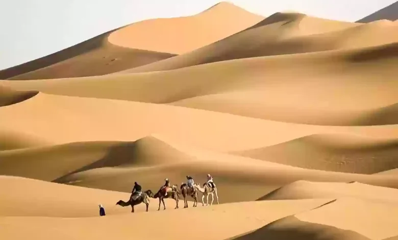 العطوي وش يرجع