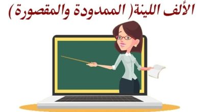 تحميل ورقة عمل تمارين الألف المقصورة والممدودة